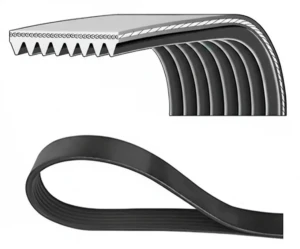 8PK1765HD DAYCO Pasek klinowy wielorowkowy