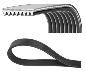 8PK2110HD DAYCO Pasek klinowy wielorowkowy