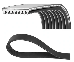 Pasek klinowy wielorowkowy SCANIA L,P,G,R,S - series R560, G500, G560, P500, S560, S500, R500 DAYCO
