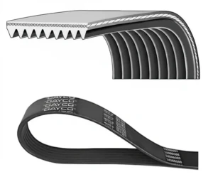 Pasek klinowy wielorowkowy MERCEDES-BENZ AXOR 1835 LS, 2540 LS, 1843 LS, 2535 LS, 1840 LS, 2543 LS DAYCO