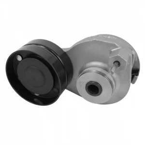 FAD, FAT, FTM, FAS, FTG, FAK, FA, FTP, FT, FAR, FTS, FTT, FAN Napinacz paska klinowego wielorowkowego DAF XF 105 DAYCO