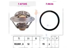 2.5 4x4 NISSAN X-TRAIL II Termostat FACET
