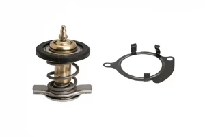 2.5 TDi, 2.5 TDI VW TRANSPORTER T5 Termostat FACET