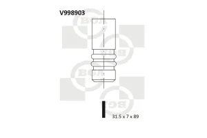 1.4 TDI, 1.9 TDI Zawór wydechowy SKODA FABIA 2 BGA