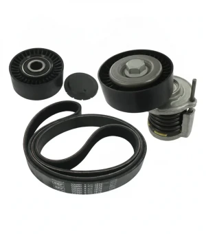 2.0 TDI, 1.9 TDI Zestaw paska klinowego wielorowkowego AUDI A4 B7 SKF