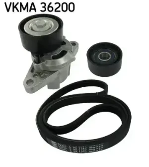 1.6, 1.8 16V, 2.0 16V, 1.8 4x4, 1.4 16V Zestaw paska klinowego wielorowkowego RENAULT SCENIC I SKF