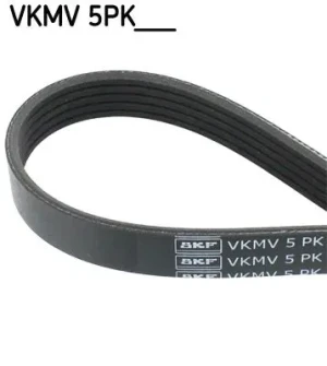 Pasek klinowy wielorowkowy 5pk OPEL ZAFIRA B 1.6 CNG SKF