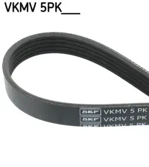 Pasek klinowy wielorowkowy 5pk ROVER 75 2.0 CDTi, 2.0 CDT SKF