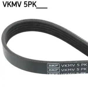 Pasek klinowy wielorowkowy 5pk CITROËN BERLINGO 1.4 i, 1.1 i SKF