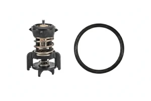 2.0 TDI VW JETTA 4 Termostat FACET