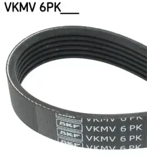 Pasek klinowy wielorowkowy 6pk CITROËN C5 III 2.0 HDi SKF