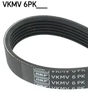 Pasek klinowy wielorowkowy 6pk 815mm FIAT STILO 1.9 JTD SKF
