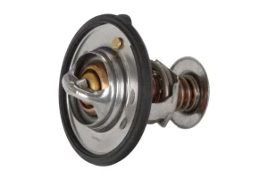 2.0, 1.9, 2.0 TD MAZDA PREMACY Termostat CONTINENTAL