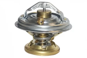 2.9 TD, 2.9 D, 2.3 D SSANGYONG MUSSO Termostat ERA