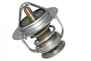216 GSi ROVER 200 II Termostat ERA