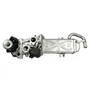 1.6 TDI, 2.0 TDI Zawór egr agr VW PASSAT B7 HOFFER