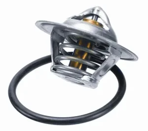 1.8, 1.8 T, 2.0, 1.6 VW BORA Termostat borgwarner (wahler) BorgWarner (Wahler)