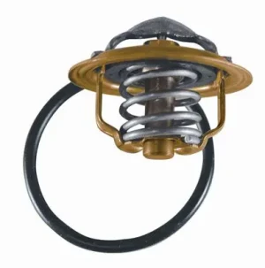 3472.87D BorgWarner (Wahler) Termostat borgwarner (wahler)