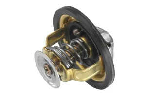 4174.82D BorgWarner (Wahler) Termostat borgwarner (wahler)