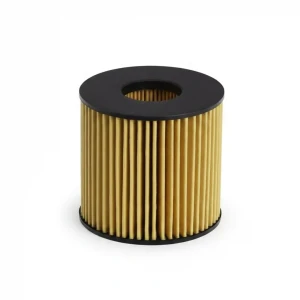 E23H D81 HENGST FILTER Filtr oleju
