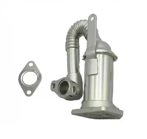 1.5 dCi Chłodnica spalin dr.motor automotive RENAULT CLIO III Dr.Motor Automotive
