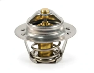 1.6 e, 1.4 16V, 2.0 i, 1.6 16V, 2.0 16V RENAULT MEGANE I Termostat FAE