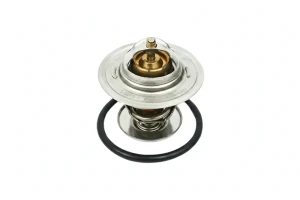 2.1, 1.6 AUDI 100 C2 Termostat borsehung Borsehung