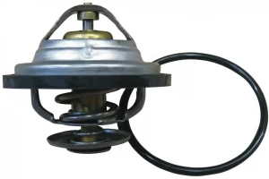 2.4 Tdi VOLVO 960 II Termostat AIC