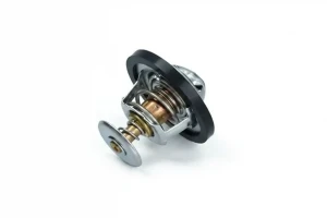 1.0 Termostat FORD KAMOKA