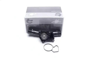 20SKV163 ESEN SKV Termostat