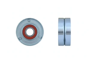 2.0, 1.9 dCi RENAULT MEGANE II Kombi (KM0/1_) Rolka napinacza paska klinowego NTY