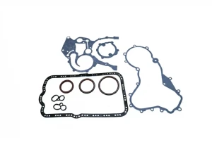 dCi 100, dCi 115, dCi 150, dCi 120 Dr.motor automotive zestaw uszczelek, skrzynia korbowa NISSAN INTERSTAR Dr.Motor Automotive