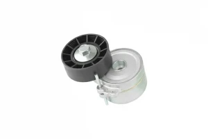 2.0 HDi, 2.2 HDi Napinacz, pasek klinowy wielorowkowy CITROËN JUMPER I BGA