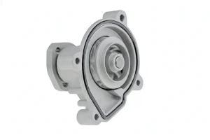 1.2, 1.0, 1.2 16V RENAULT KANGOO I Pompa wodna Pompa wodna NTY