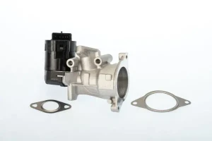 2.0 HDi Borgwarner (wahler) zawór agr CITROËN C4 I BorgWarner (Wahler)