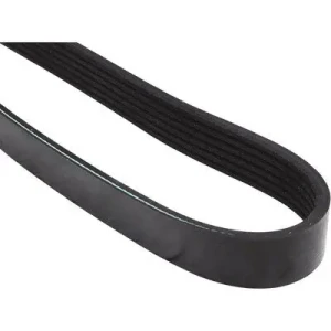 Pasek klinowy wielorowkowy RENAULT MEGANE III 2.0 R.S., 2.0 TCe, 1.9 dCi JP GROUP