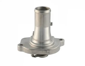 1.2, 1.2 60 FIAT PUNTO II Termostat, środek chłodzący FAE