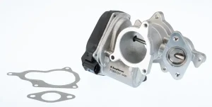 710931D BorgWarner (Wahler) Borgwarner (wahler) zawór agr