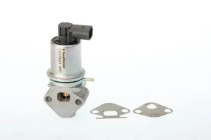 1.4 16V Borgwarner (wahler) zawór agr SEAT CORDOBA I BorgWarner (Wahler)