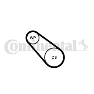 1.2 THP Pompa wodna + zestaw paska klinowego wielorowkowego PEUGEOT 308 II CONTINENTAL CTAM