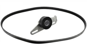 1.4, 1.6 Zestaw paska klinowego wielorowkowego RENAULT LOGAN I FEBI BILSTEIN