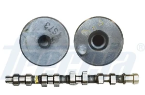 1.6 LPG, 1.6 16V, 1.6 OPEL ZAFIRA A Wałek rozrządu FRECCIA