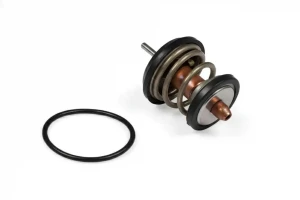 2.0 TFSI, 2.0 TSI VW TIGUAN 1 Termostat, środek chłodzący HEPU