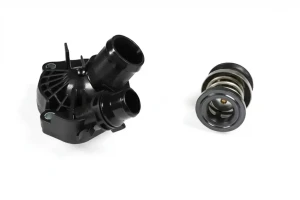 118 d, 125 d, 120 d BMW 1 F21 Termostat, środek chłodzący HEPU