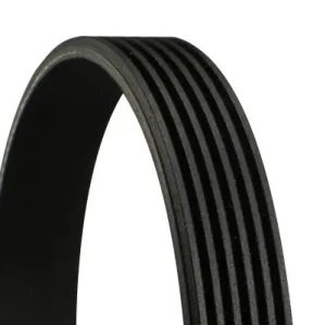 6PK1098 EXTRA CONTINENTAL CTAM Pasek klinowy wielorowkowy