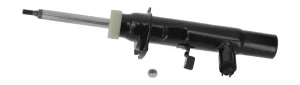 Amortyzator BMW X2 F26 xDrive 35, xDrive 20, M 40, xDrive 28, xDrive 30 NTY