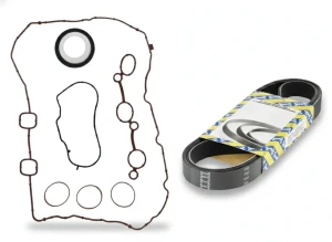 1.2, 1.2 VTi Zestaw paska klinowego wielorowkowego CITROËN C-ELYSEE SNR