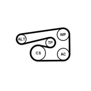 1.8 MPI Zestaw paska klinowego wielorowkowego ALFA ROMEO 159 CONTINENTAL CTAM