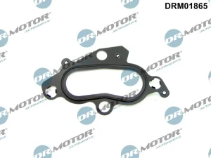 1.6, 1.4 Dr.motor automotive uszczelka, korpus termostatu FORD FOCUS I Dr.Motor Automotive