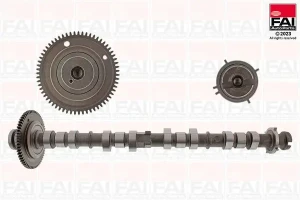 2.2 D MAZDA 6 III Fai autoparts wałek rozrządu FAI AutoParts